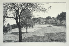 Landschaft 1910/11